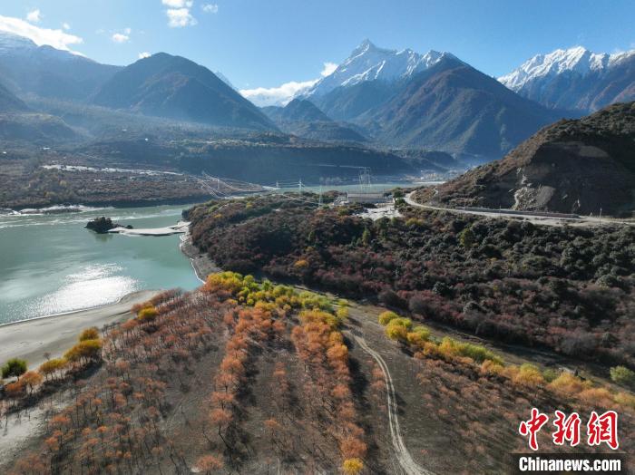 秋冬轉換西藏雅魯藏布大峽穀風光壯麗(li) 