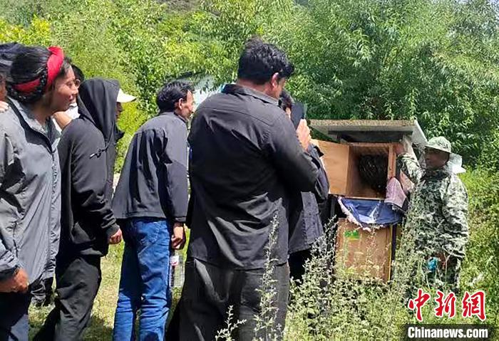 拉久西村村民學習(xi) 養(yang) 蜂工作流程和防範事項。　昌都市芒康縣委宣傳(chuan) 部供圖