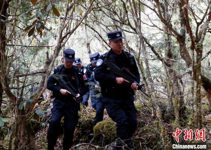 山南邊境管理支隊玉麥邊境派出所民警在邊境原始森林裏開展邊境巡邏。　鄭琦山 攝