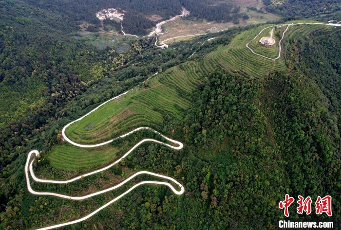 圖為(wei) 西藏林芝市墨脫縣背崩鄉(xiang) 格林村山頂的景觀茶園。(無人機照片) 李林 攝