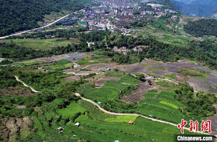 圖為(wei) 西藏林芝市墨脫縣城附近的茶田。(無人機照片) 李林 攝
