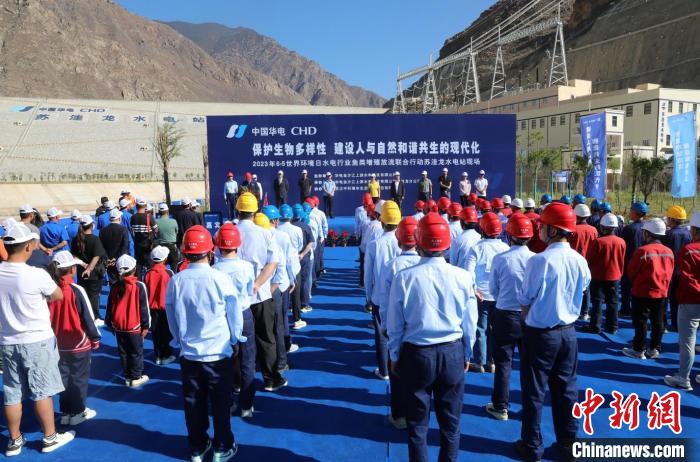 圖為(wei) 蘇窪龍水電站魚類放流現場。　蘇窪龍水電站供圖