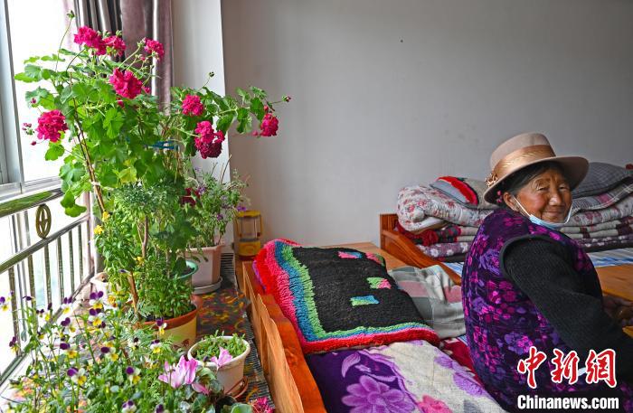 圖為(wei) 曲鬆縣特困人員集中供養(yang) 中心老人德吉卓嘎與(yu) 她的花。　趙朗 攝