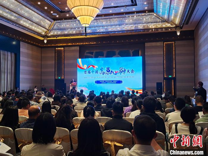圖為(wei) 首屆中國高原心胸大會(hui) 現場。　頓旦旺姆 攝