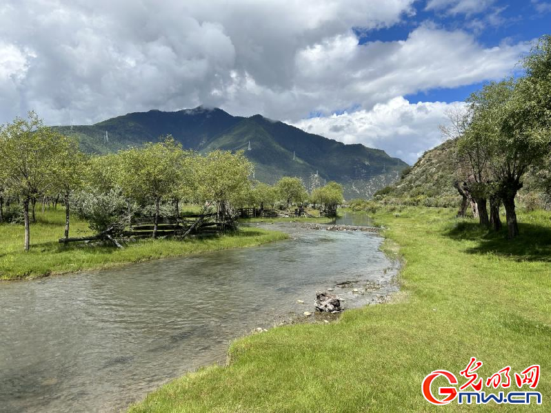 我們(men) 的家園丨雅尼國家濕地公園：荒草灘“換裝”綠水青山 生態遊送來“金山銀山”