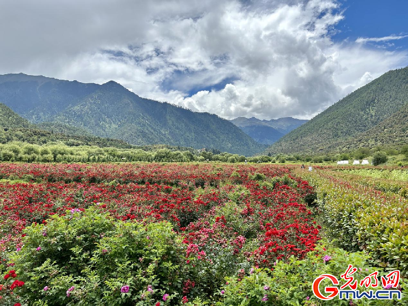 我們(men) 的家園丨【組圖】 綠水青山入畫，“金山銀山”築起