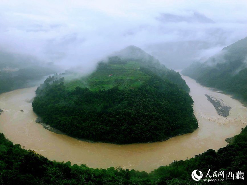 雅魯藏布江大峽穀蛇形拐彎處，山坡上種滿茶樹。