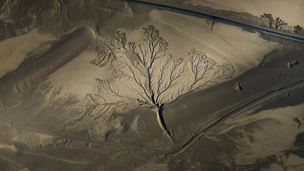 無人機視角下的西藏阿裏地區改則縣“大地之樹”景觀。尼瑪多吉攝