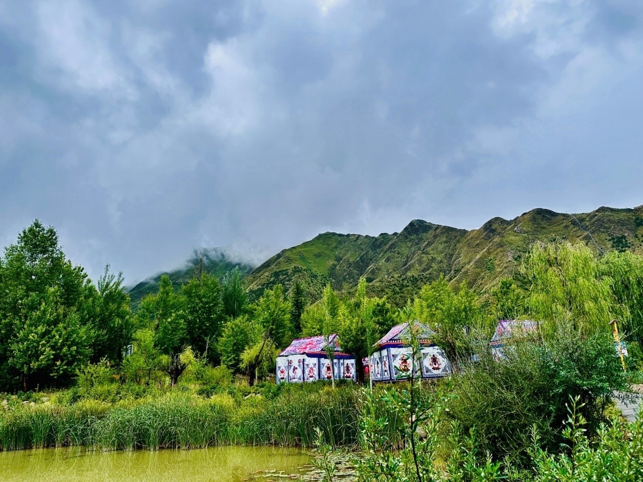 鬱鬱蔥蔥的南山公園。人民網記者 益西康珠攝