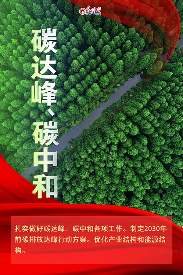 海報| 2021年政府工作報告，提到這些生態環保關(guan) 鍵詞